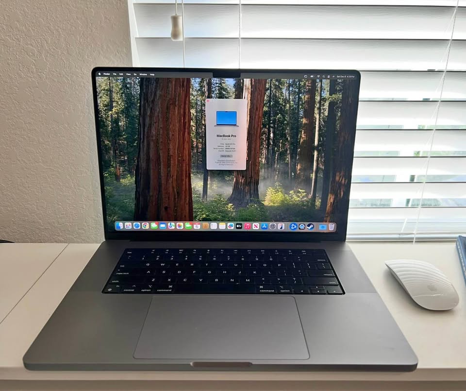 MacBook Pro (16-inch, 2021, 32GB RAM, 1TB Storage)